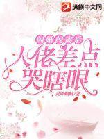 闪婚后大佬宠妻成瘾免费阅读