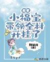 农家小福宝txt