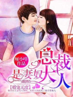 总裁大人的宠妻之路