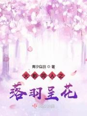 火影之落叶无声