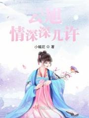 情深深几许免费阅读