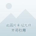 野村名医免费阅读
