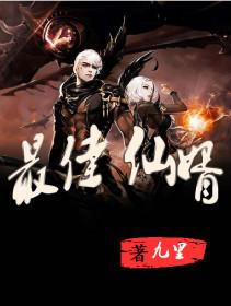 至尊仙婿上集