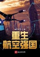 重生航空强国八零电子书