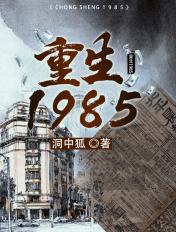 重生1985从修家电开始