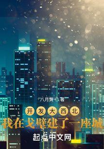开发大西北指的是哪里