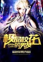 极品校花游戏阵容