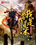 穿越水浒传之我是林冲