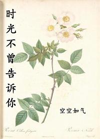 时光不曾远去