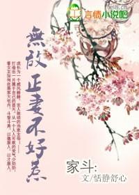 无敌正妻不好惹
