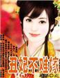 丑妃难寻
