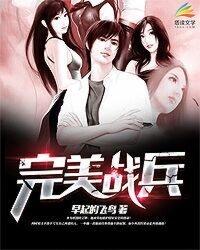 完美战争2