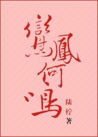 鸾凤鸣by