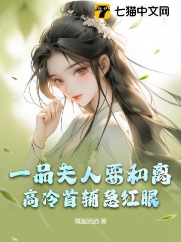 一品夫人网址