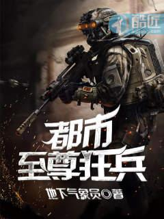 都市至尊狂兵完结全本