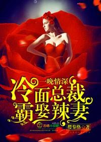 冷面总裁独宠妻