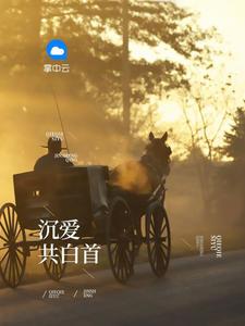 职场风云2