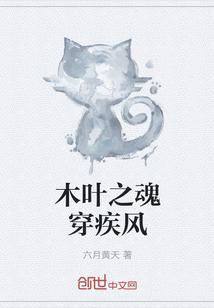 木叶之疾风之刃