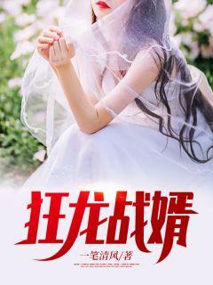 盖世战王
