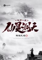 我有一座仙灵洞天顶点