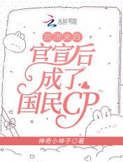 顶流夫妇原型