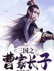 三国之曹家长子大汉慈父无删减