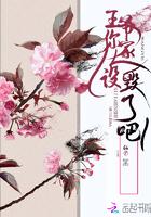 王爷你人设崩了txt