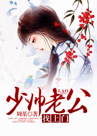 上门佳婿